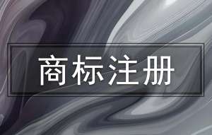 蕪湖商標(biāo)注冊(cè)關(guān)鍵環(huán)節(jié)拆解：避誤區(qū)、提效率指南